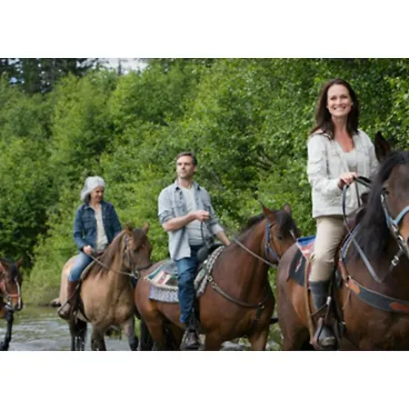 Ambrose Mews Duncormick