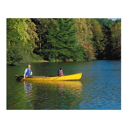 Nocleg ze śniadaniem Ambrose Mews 3*