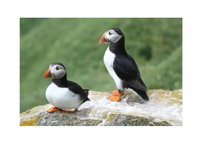 Ambrose Mews 3* Duncormick